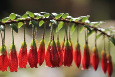 东莞莞城私人快速借钱网，轻松解决资金难题