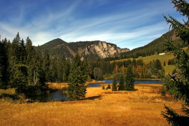 东莞莞城民间私贷攻略：揭秘低成本借贷的秘密