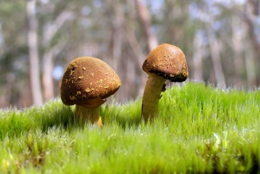 东莞莞城私人老板放款：轻松融资的秘密通道